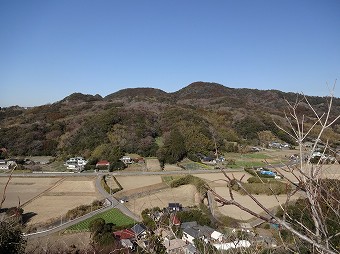 とみやま水仙遊歩道