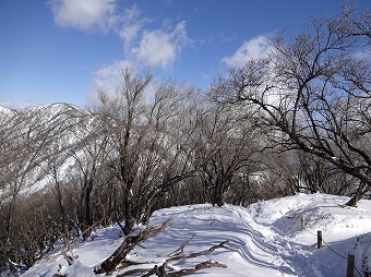 塔ノ岳北側