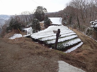 宇津茂分岐