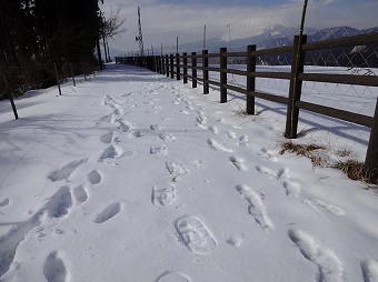 舗装道路でのワカン