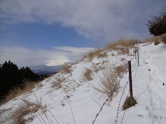 富士山