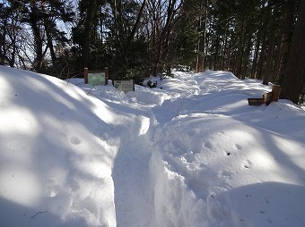 稲荷山コース分岐