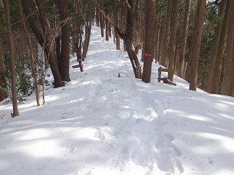 奈良子尾根分岐