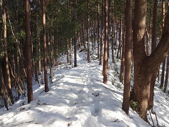 ふかふか雪