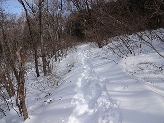 ふかふか雪