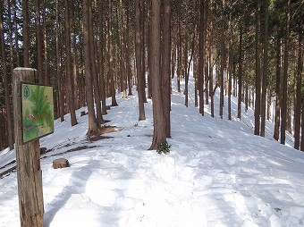 堂所山分岐