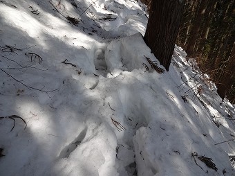 ボコボコ巻き道