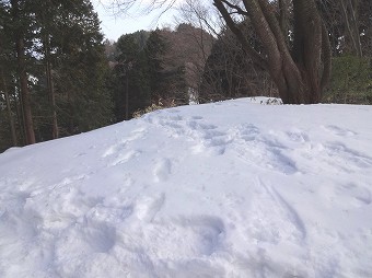 景信山へ