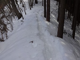 ふかふか雪