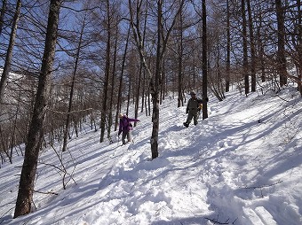 サラサラ雪