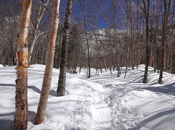 南沢登山道