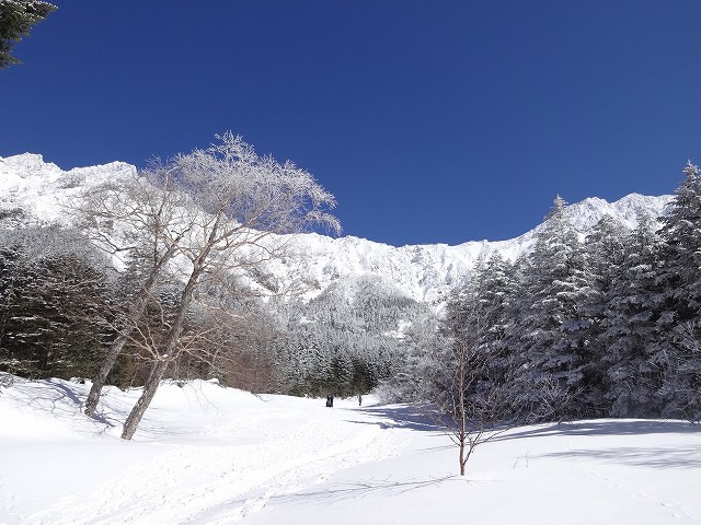 霧氷の八ヶ岳