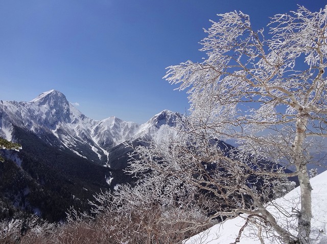 霧氷の赤岳～阿弥陀岳