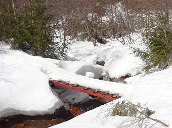 北沢登山道