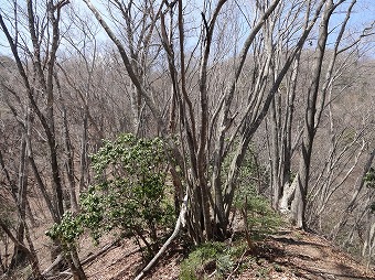 上高岩山へ