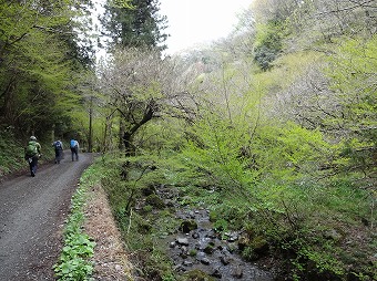 日陰沢