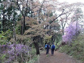 青年の森付近