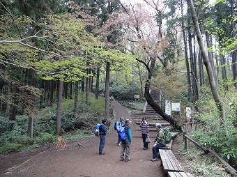 高尾山直下