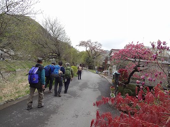 小仏川沿い