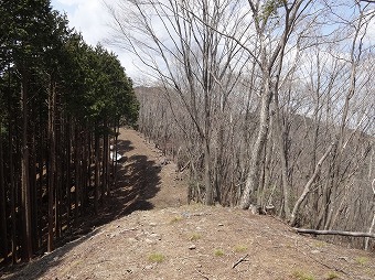 真名井沢ノ頭