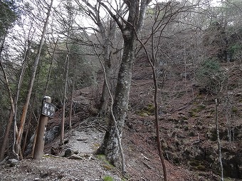 熊倉山　山頂直下