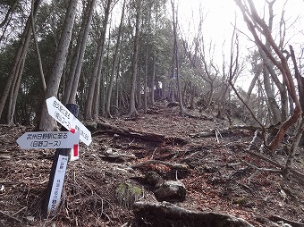 日野コース分岐