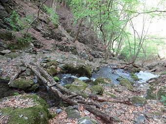 日野コース沢沿い