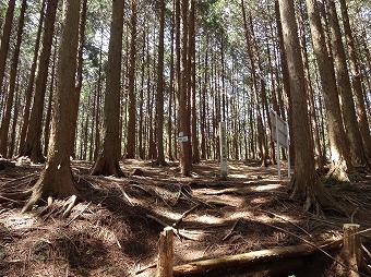 城山　熊倉城址