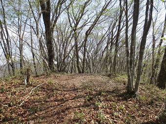 大寺山