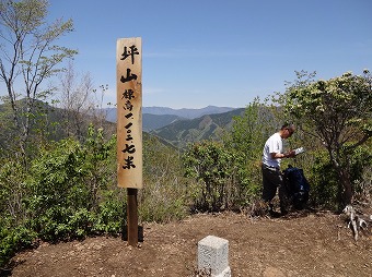 坪山　山頂