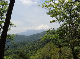 富士山