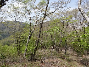 雁ヶ腹摺山と大樺ノ頭