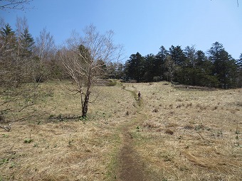 雁ヶ腹摺山の草原