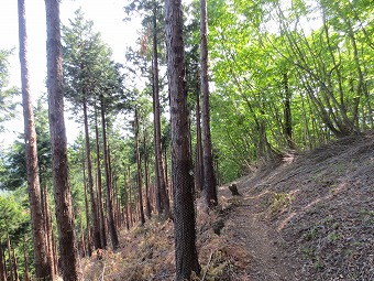 鳥屋戸尾根