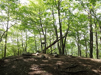 笙ノ岩山　山頂