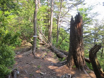 鳥屋戸尾根