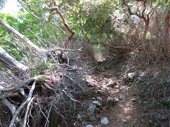 板小屋沢ノ頭へ