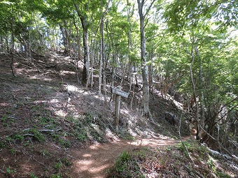 板小屋沢ノ頭