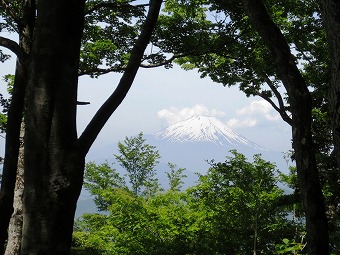 富士山