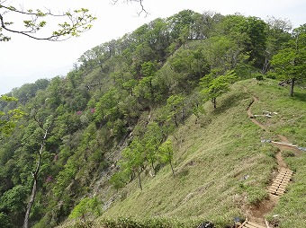 ヤタ尾根分岐へ