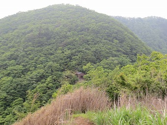 犬越路へ