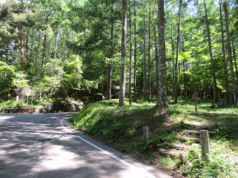 三ツ頭登山口の「鐘掛松」