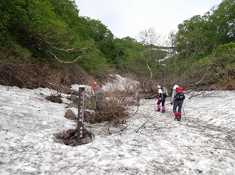 コマドリ沢分岐