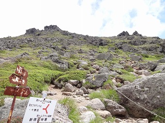 十勝・トムラウシ山　分岐