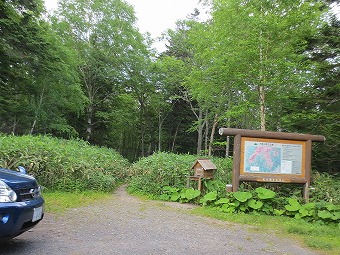 トムラウシ登山口