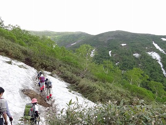 残雪