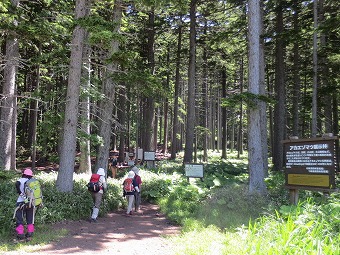 雌阿寒岳温泉コース登山口