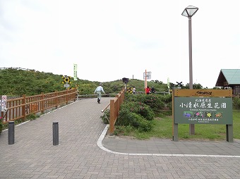 小清水原生花園