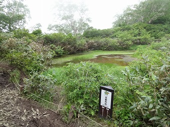 光善寺池