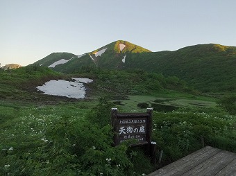 朝の天狗の庭